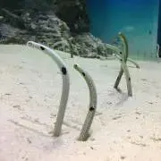 とも