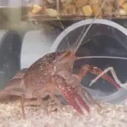 mi-na0701の画像