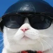 しめじ