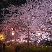 ネロネロの画像