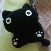 ニャンコの画像