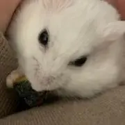 あき
