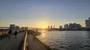 キツツキ
