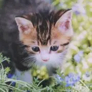 h☆h プロフィール読んでくださいの画像