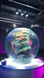 いずみんの画像