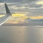 まの画像