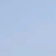 ハムの画像