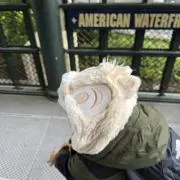 しーの画像
