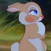 Bの画像