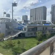 アキの画像