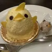 はるの画像