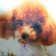 Mai  ☆プロフ必読☆の画像