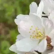 ちえ♡プロフ読んでね