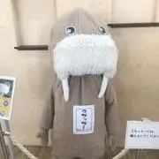 こはくの画像
