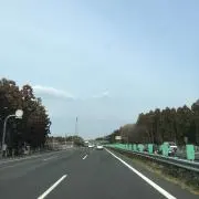 はるの画像