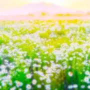 ちゃいながーる