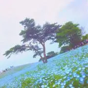 YUKIMIの画像