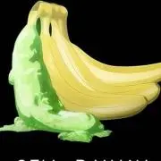 も