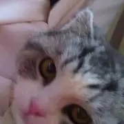 多喜屋さん
