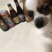 Pepeの画像