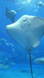 なか嶋の画像