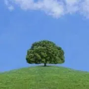 りくの画像