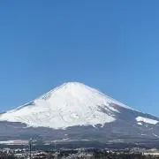 doragon