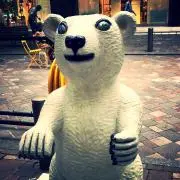 中山たぬき★プロフ読んでください！の画像