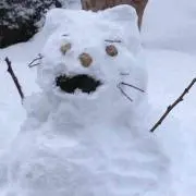 たいるん