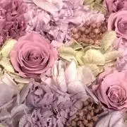 さっこの画像