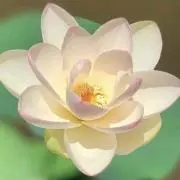 こうちゃん3