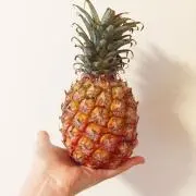 kmamの画像