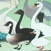 れおんの画像