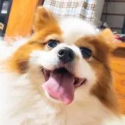 みーの画像