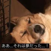 Betty@即購入可能・まとめ買い値引きの画像