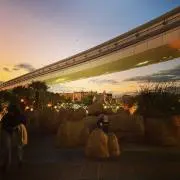 Aoの画像