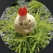 えびちゅの画像