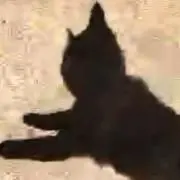 カロ　※プロフィール欄要確認の画像