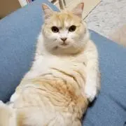 おじの画像