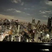 ほたての画像