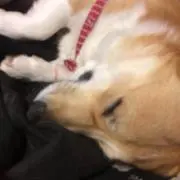 メビウス