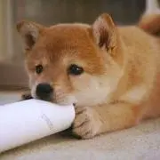 あやなん