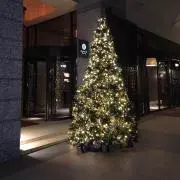 みりんの画像