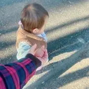 さくらんぼの画像
