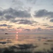やす