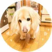 cleo◇プロフ見てねの画像