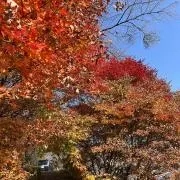 Rennyの画像