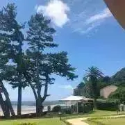 みんみんの画像