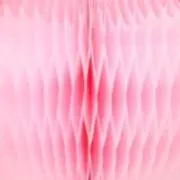 鈴木 のぞみ子