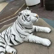 Sayakaの画像